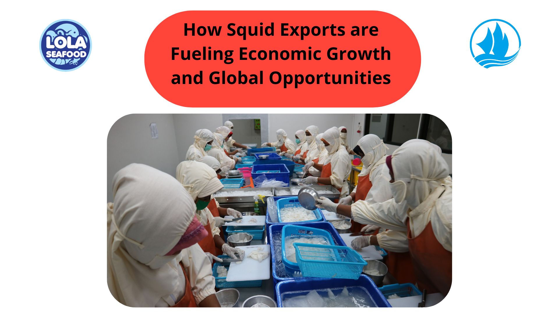 How Squid Exports are Fueling Economic Growth and Global Opportunities